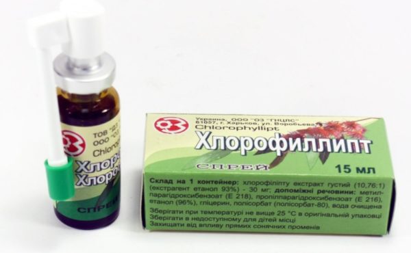 Стафилококковый хлорофиллит у детей: инструкция 5