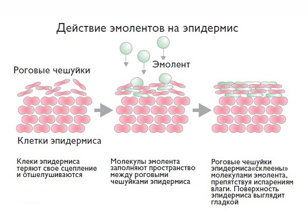 Смягчающие средства от атопического дерматита у детей: список популярных препаратов, состав и инструкция по применению, которые лучше использовать2