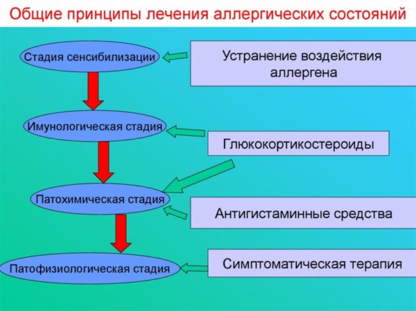 Таблетки от кожной аллергии у детей и взрослых: как выбрать самое лучшее и эффективное средство