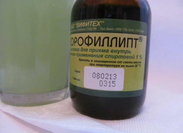 Стафилококковый хлорофиллит у детей: инструкция 4