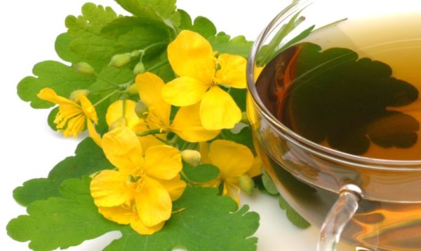 Чистотел от бородавок и папиллом: инструкция по применению