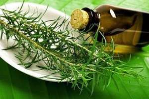 Применение эфирного масла чайного дерева для грибов: полезные свойства, простые рецепты лечения