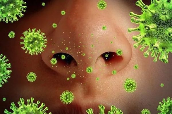 Вирус Коксаки: причины, симптомы, формы и особенности лечения 6