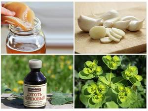 Способы избавления от грибка на ногах народными средствами: рецепты, помогающие в борьбе с недугом