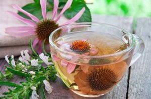 Средство от грибка ногтей на ногах: самые эффективные препараты, хорошие бюджетные средства, народная медицина11