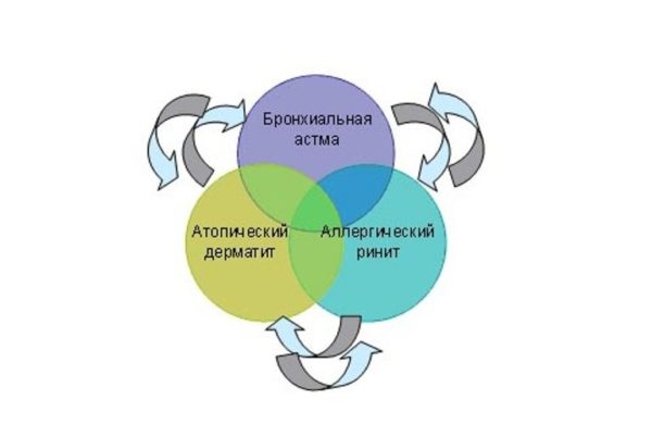 Что такое атопия: причины, симптомы, лечение у детей 3