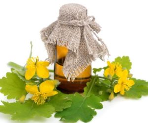 ВПЧ 6 типа у женщин и мужчин: характеристика и симптомы вируса 10