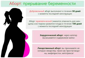 Виды прерывания беременности Какие есть виды препрывания беременности