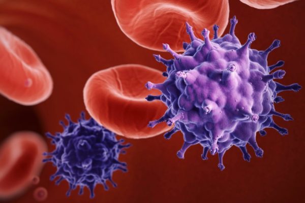 Как цитомегаловирус (ЦМВ) передается от человека к человеку 1