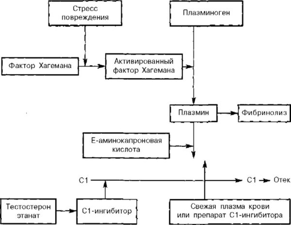Отек Квинке у детей и взрослых: причины отека Квинке, неотложная помощь при его появлении 2