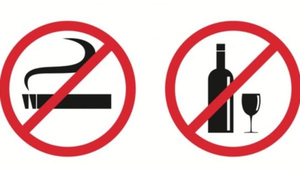 Укус насекомого: отек, зуд, покраснение - что делать, чтобы помочь