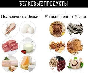 Белковые продукты Белковые продукты для похудения