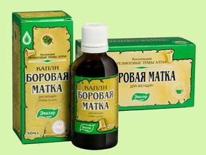 Способ применения боровой матки Как правильно принимать боровую траву