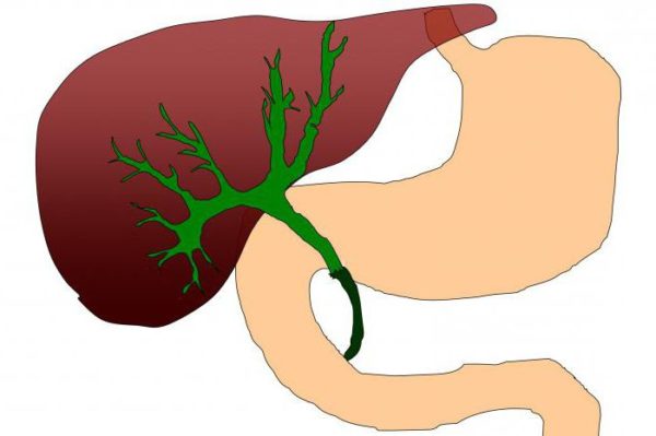 Зуд при беременности: причины появления, чем мазать кожу, чтобы от него избавиться 3