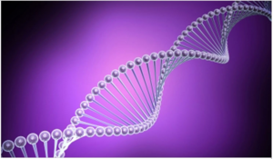 Омоложение и оздоровление Тибетская гормональная гимнастика поможет затормозить старение