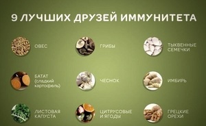Список растений для иммунитета средства для повышения иммунитета у взрослых