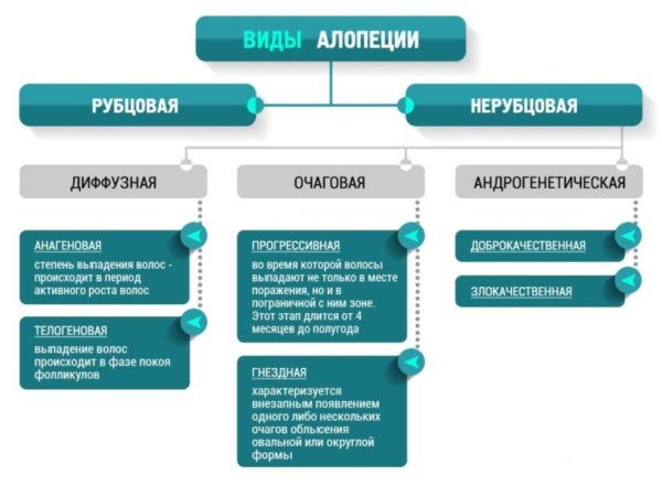 Лучший шампунь от облысения: как действует, всегда можно использовать