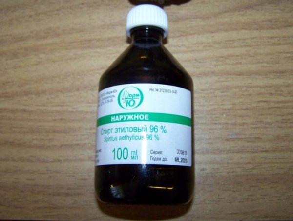 Укус насекомого: отек, зуд, покраснение - что делать, чтобы помочь