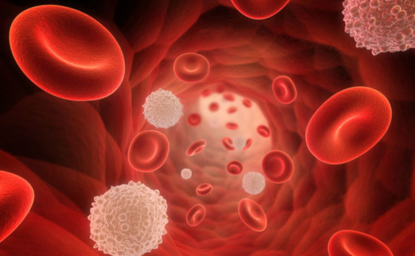 ВПЧ 6 типа у женщин и мужчин: характеристика и симптомы вируса 2