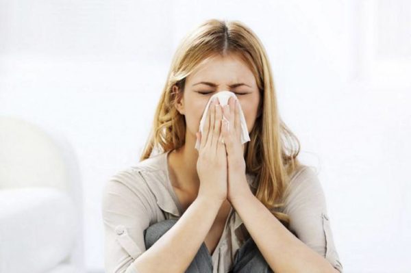 Стафилококк и стрептококк: разница между заболеваниями и методами лечения