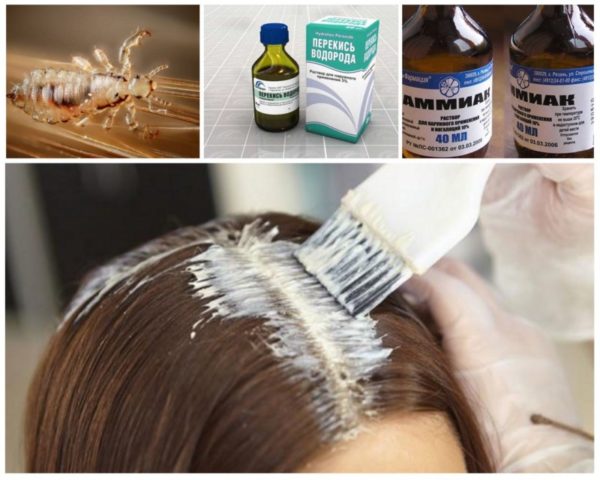 Вши живут на окрашенных волосах, краска убивает паразитов