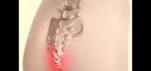 Функция копчика Функция копчика в организме