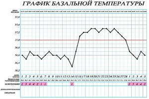 Пример графика базальной температуры Как составлять график базальной температуры