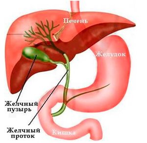 Воспаления жёлчного пузыря С правой стороны под ребрами боль