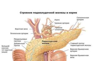 Как развивается рефлюкс Развитие заболевания