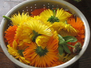 Тоник для лица с цветами календулы Тоник с календулой и яблочным уксусом