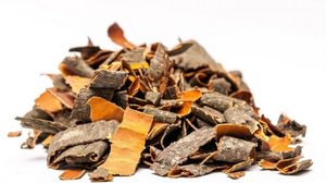 Целебные свойства отвара коры осины Кора осины в народной медицине