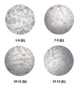 Кристаллизация слюны во время овуляции Кристаллизация слюны во время овуляции