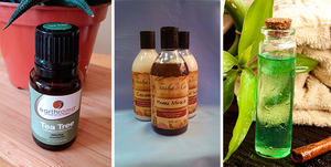 Эфир чайного дерева Описание масла чайного дерева