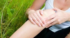 Медвежий жир при болях в суставах Медвежий жир при болях в суставах и позвоночнике