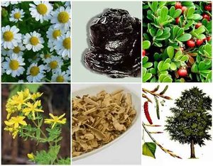 Народное лечение Народное лечение частого мочеиспускания