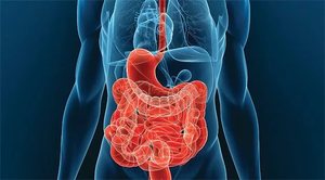 Нарушение пищеварения Нарушение пищеварения в кишечнике