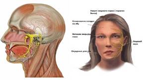 Методы лечения воспаления тройничного нерва Как лечить воспаление тройничного нерва
