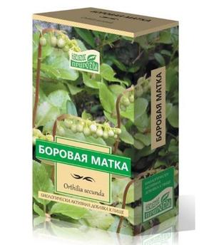 Применение лечебной травы Как правильно принимать траву боровая матка