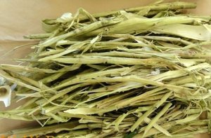 Кора осины при сахарном диабете Кора осины помогает от множества заболеваний