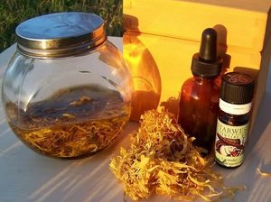 Отвары от прыщей Отвары от прыщей на лице