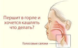 Причины першения в горле Лечение перения в горле