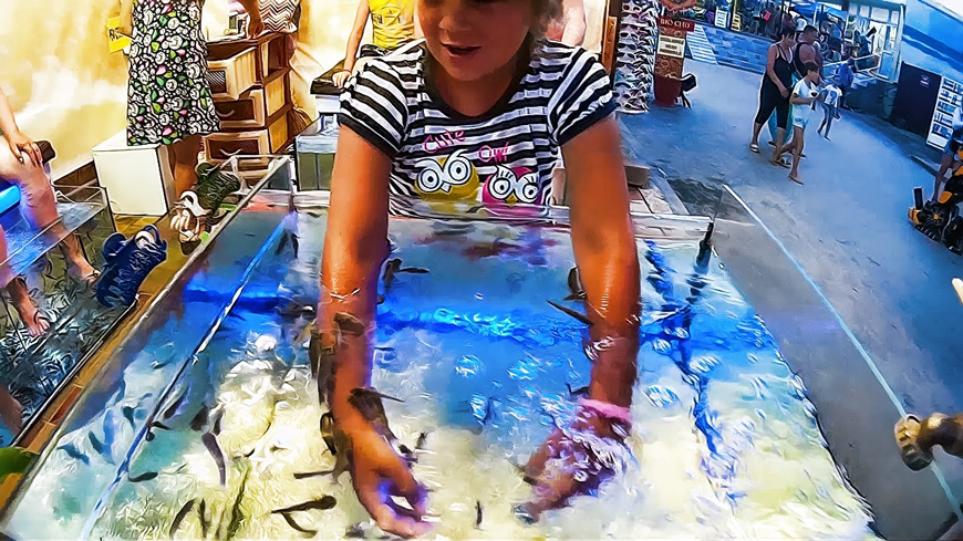 Пилинг рыбками Гарра Руфа