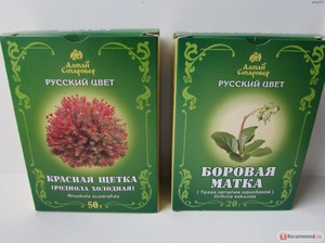 Лечебные свойства травы боровая матка Ценность травы боровая матка