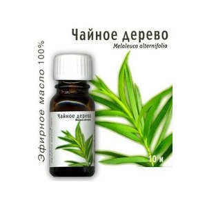 Как использовать масло чайного дерева Масло чайного дерева от угрей и прыщей