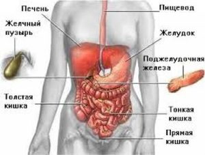 Изменения в поджелудочной железе Диффузные изменения поджелудочной железы