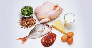 Какие питательные элементы необходимы организму человека Перечень необходимых человеку продуктов, содержащих белок