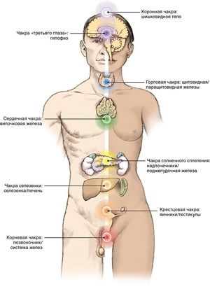 Что находится под солнечным сплетением у человека Неприятные ощущения в солнечном сплетении
