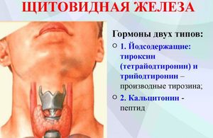 Показания к проведению анализа Когда необходимо провести обследование