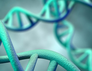 Лечение синдрома Олбрайта Признаки заболевания