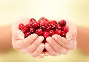 Клюква от отеков Народные методы лечения отеков